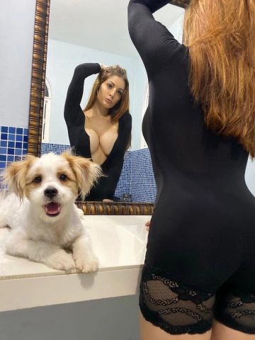 Софа